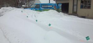 A blue service van is parked behind a large snowbank, with a line of small green survey flags marking the snowy ground.