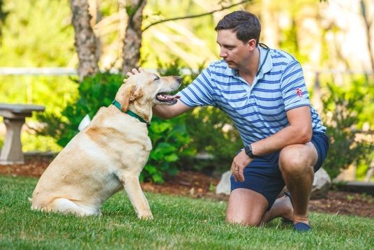 A man is petting a dog in the grass.