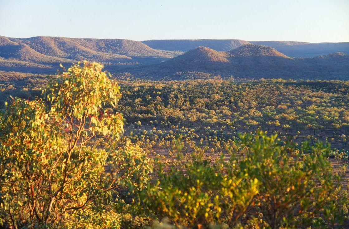 Forested Sandstone Hills Of Carnarvon Range — K & T Daley in Central Highlands, QLD
