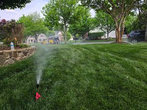 Sprinkler watering a green lawn in a suburban neighborhood with trees and houses