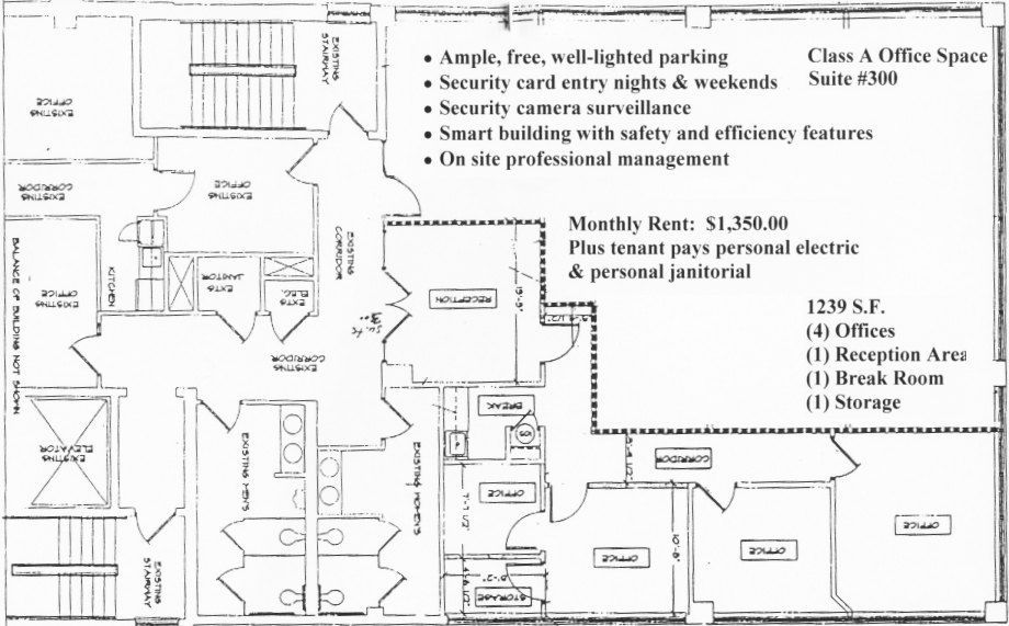 Richmond Road - Floor Plan 2