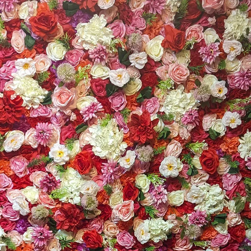 Colorful wall of roses and other flowers, red, pink, white, and other shades.