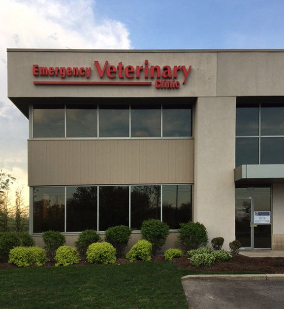 Emergency sales vet center