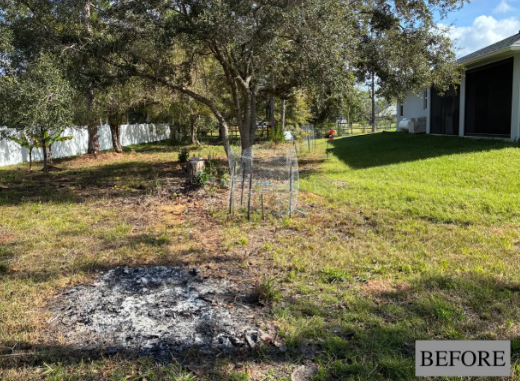 Backyard with trees and grass, featuring a small burned patch in the foreground and a house on the right.