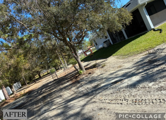 Tilted view of a tree-lined sidewalk beside buildings, with shadows on a gravel path and grass lawn.