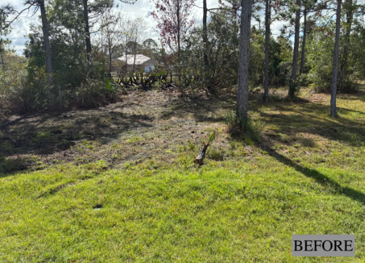 Sunlit grassy yard with trees and a small house in the background, marked “BEFORE”