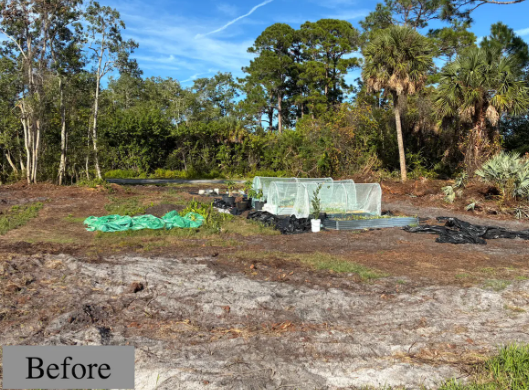 Cleared lot with tarp-covered materials and trees in the background, labeled “Before”