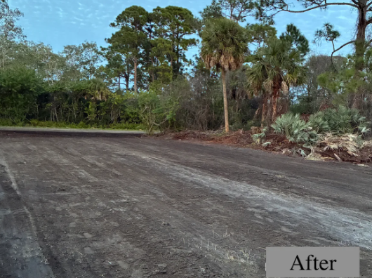 Freshly graded dirt road curving beside dense green trees under a cloudy sky, labeled “After”