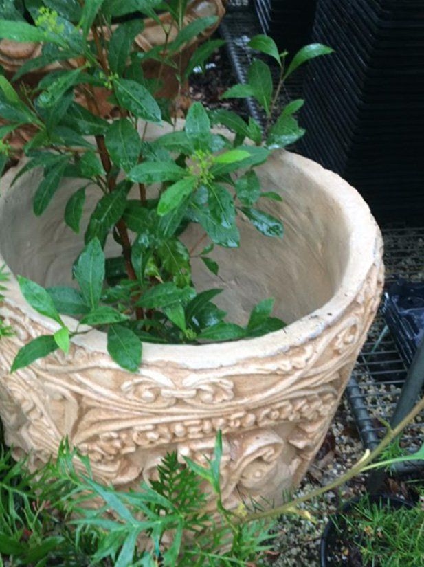 Urns Plinths and Pedestals