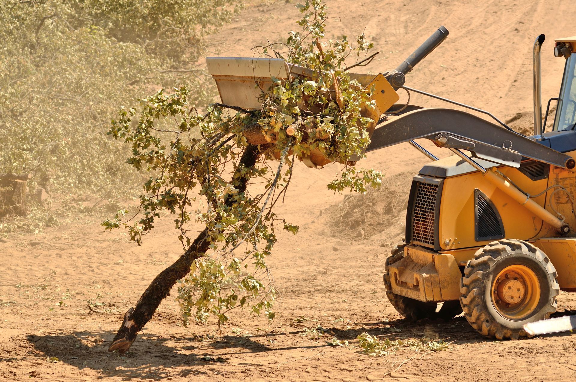 A yellow backhoe equipped with a brush attachment clearing debris and vegetation from the ground.