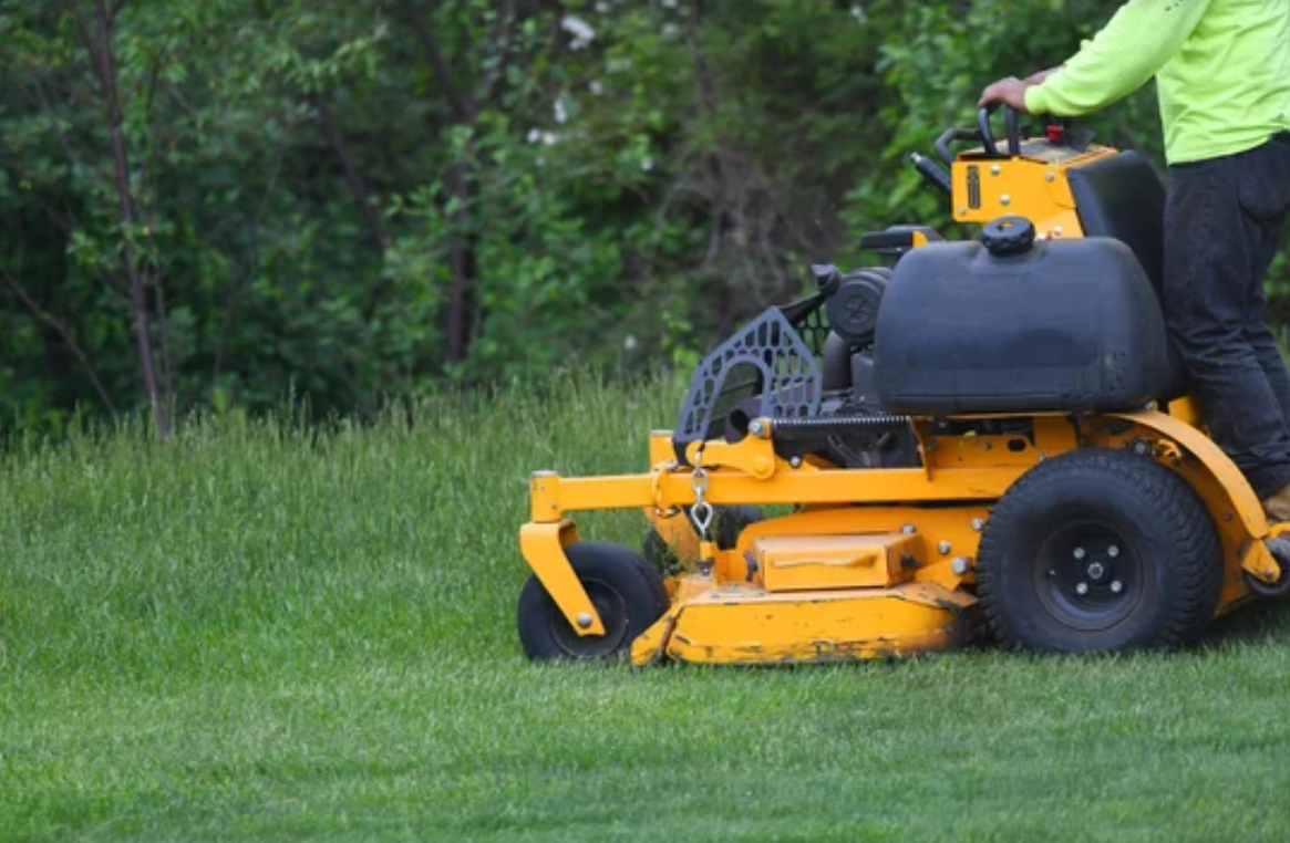 Worker operating a lawn mower to trim the grass in a neatly manicured garden.