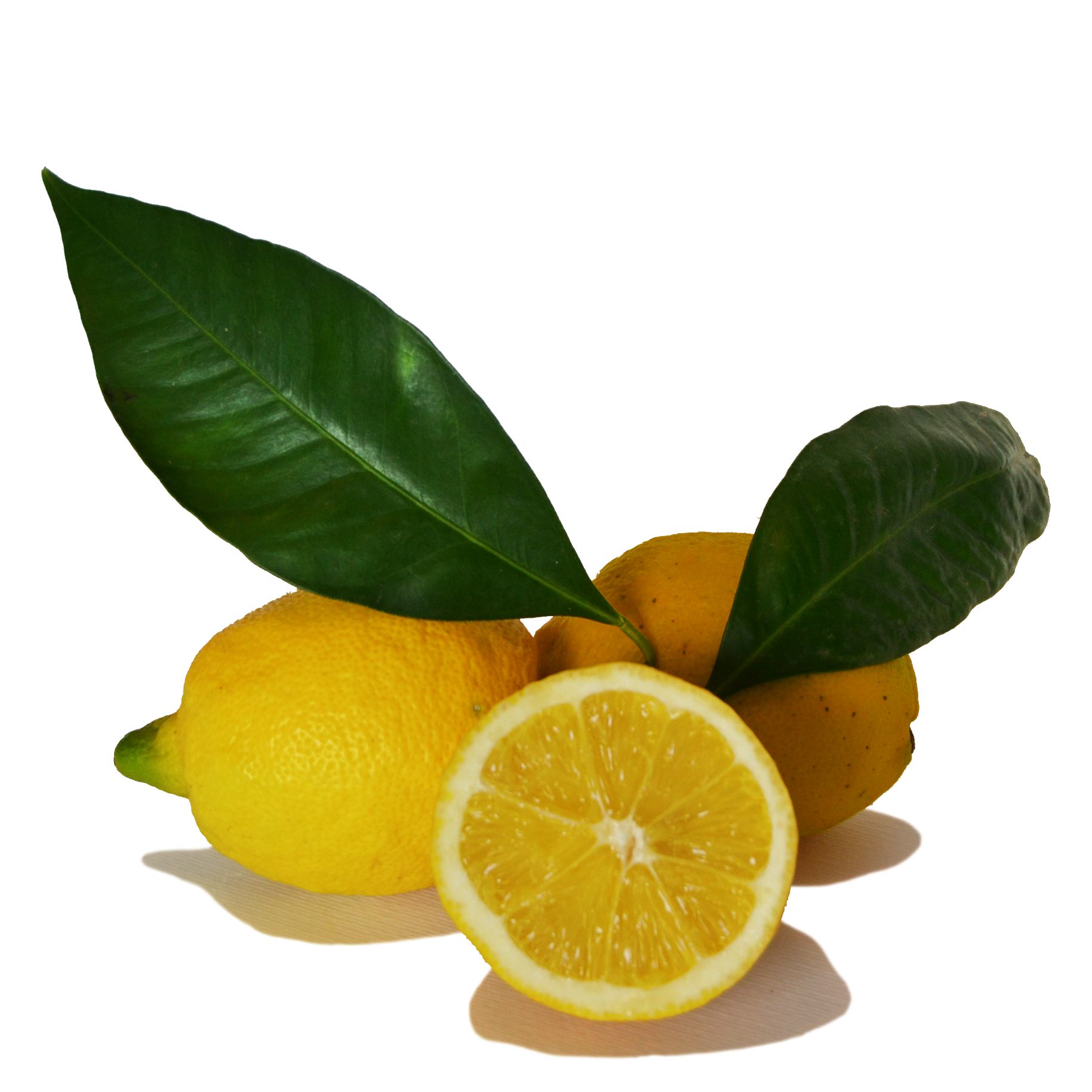 limoni