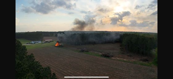 Dirt path clearing in a forest, with trees in the background.