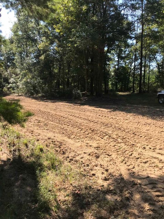 Dirt path clearing in a forest, with trees in the background.