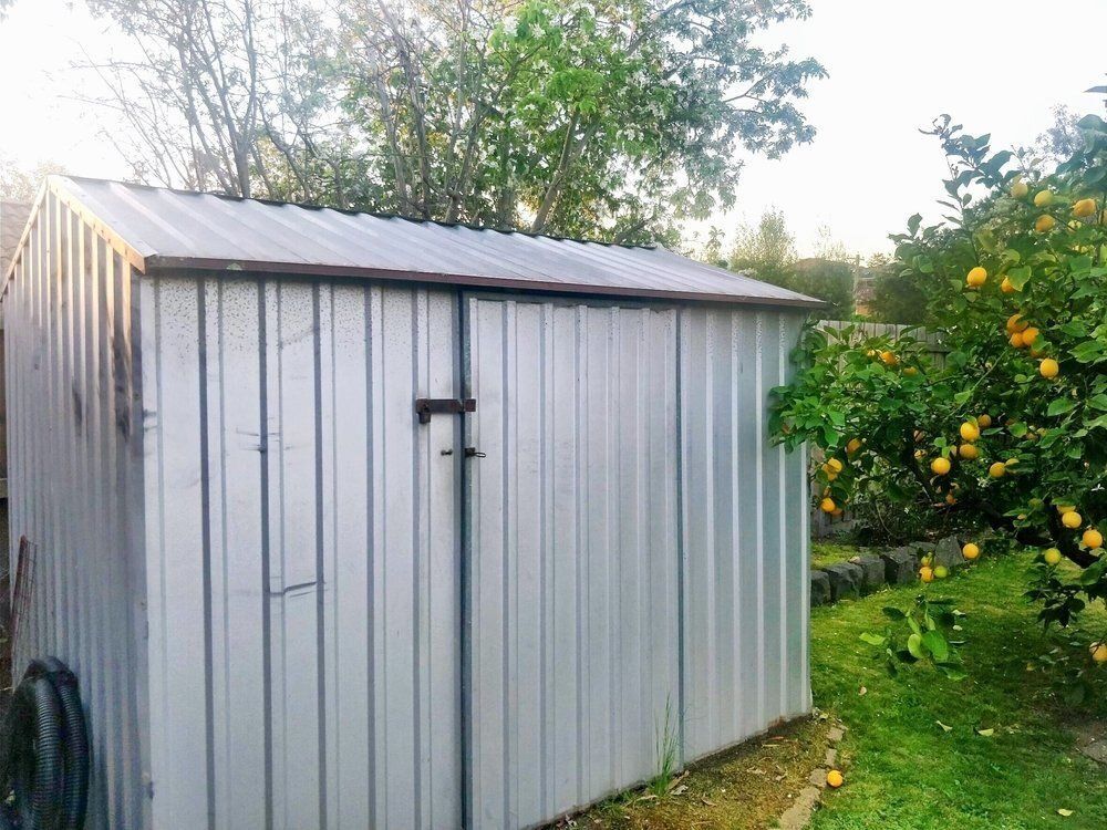 A Metal Shed Is Sitting In The Grass Next To A Lemon Tree — Mbah Metal Roofing In Murwillumbah, NSW