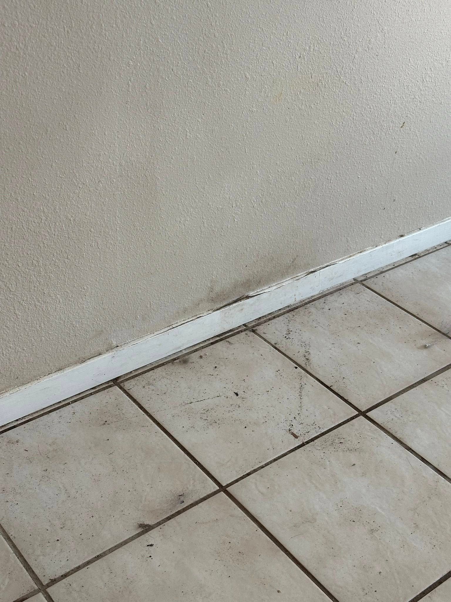 Tiled floor meeting a textured wall. Dirt and debris along the baseboard.