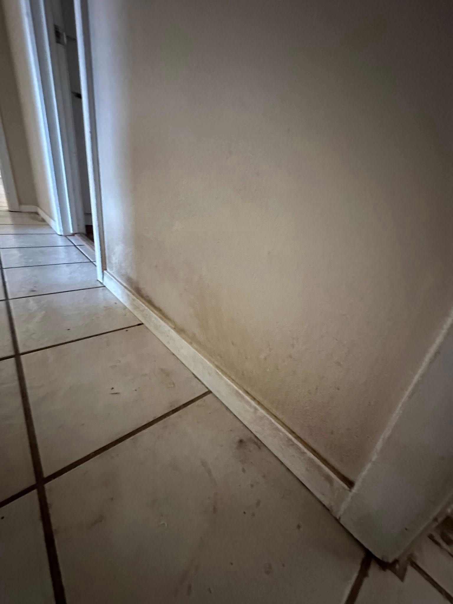 Mold or water damage on wall in a hallway, stained baseboard, dirty tile floor.