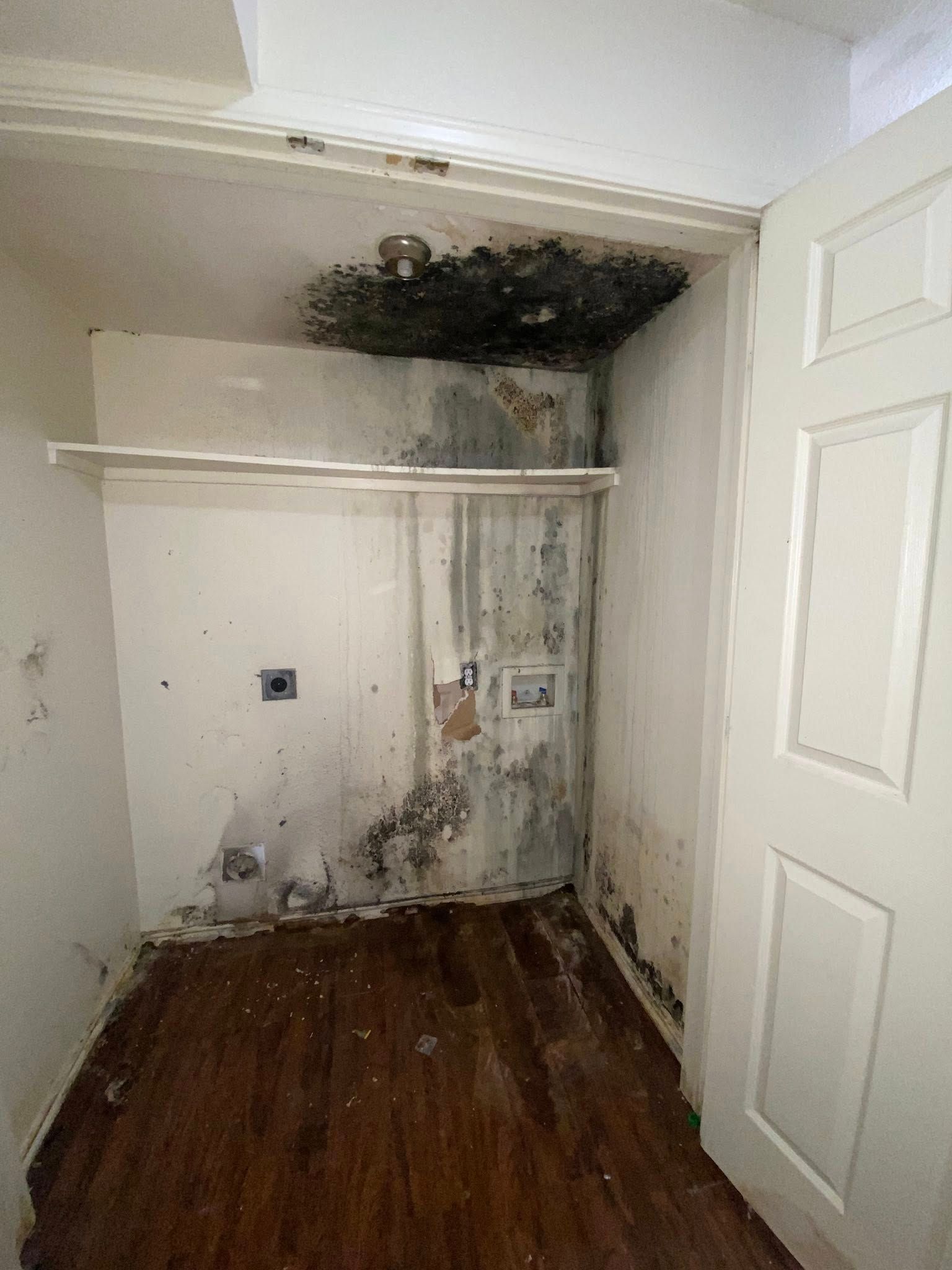 Mold-covered laundry room with stained walls and ceiling; door on right; wood floor.