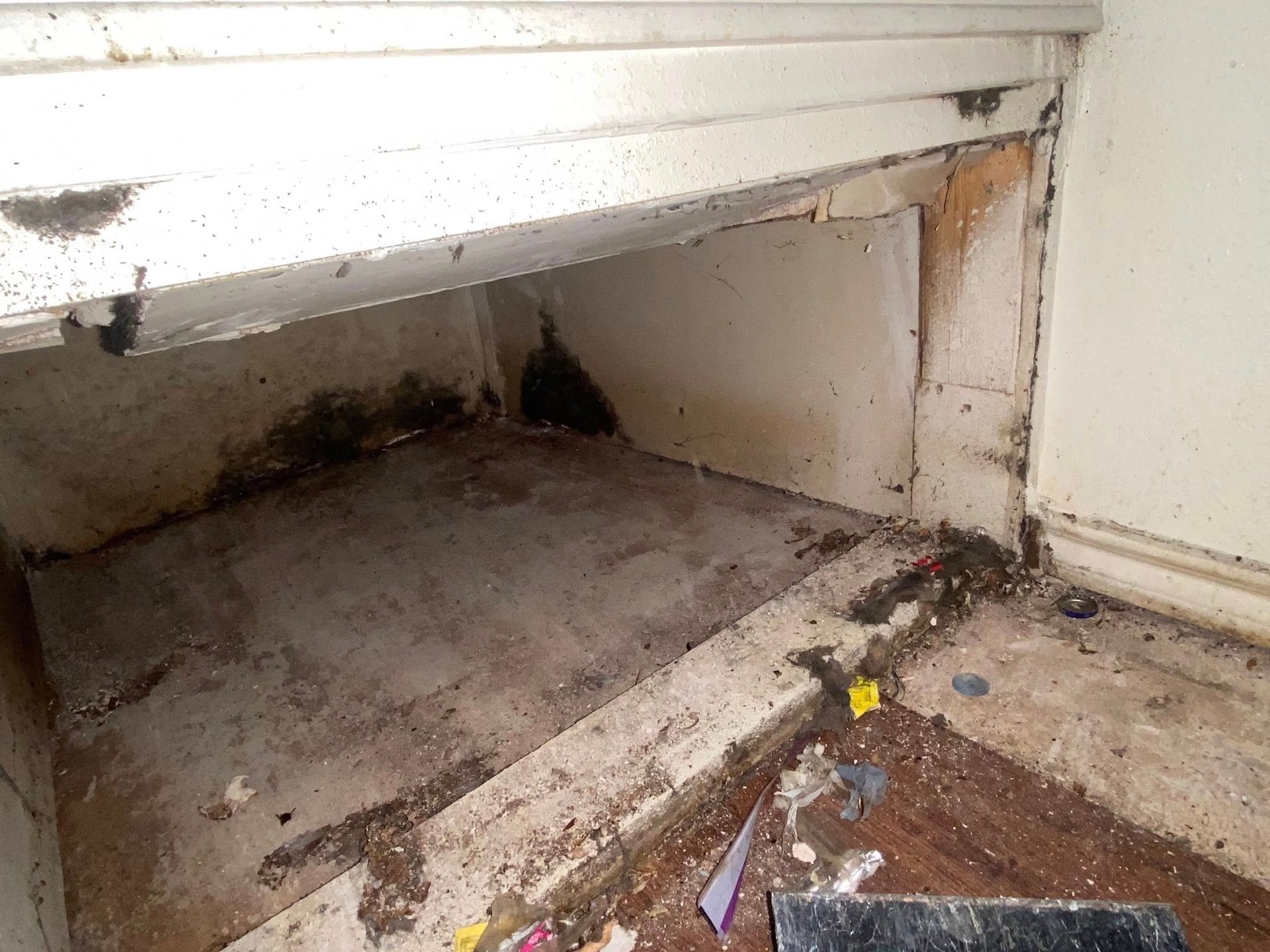 Dirty alcove with black mold growth on walls and ceiling. Debris on floor.