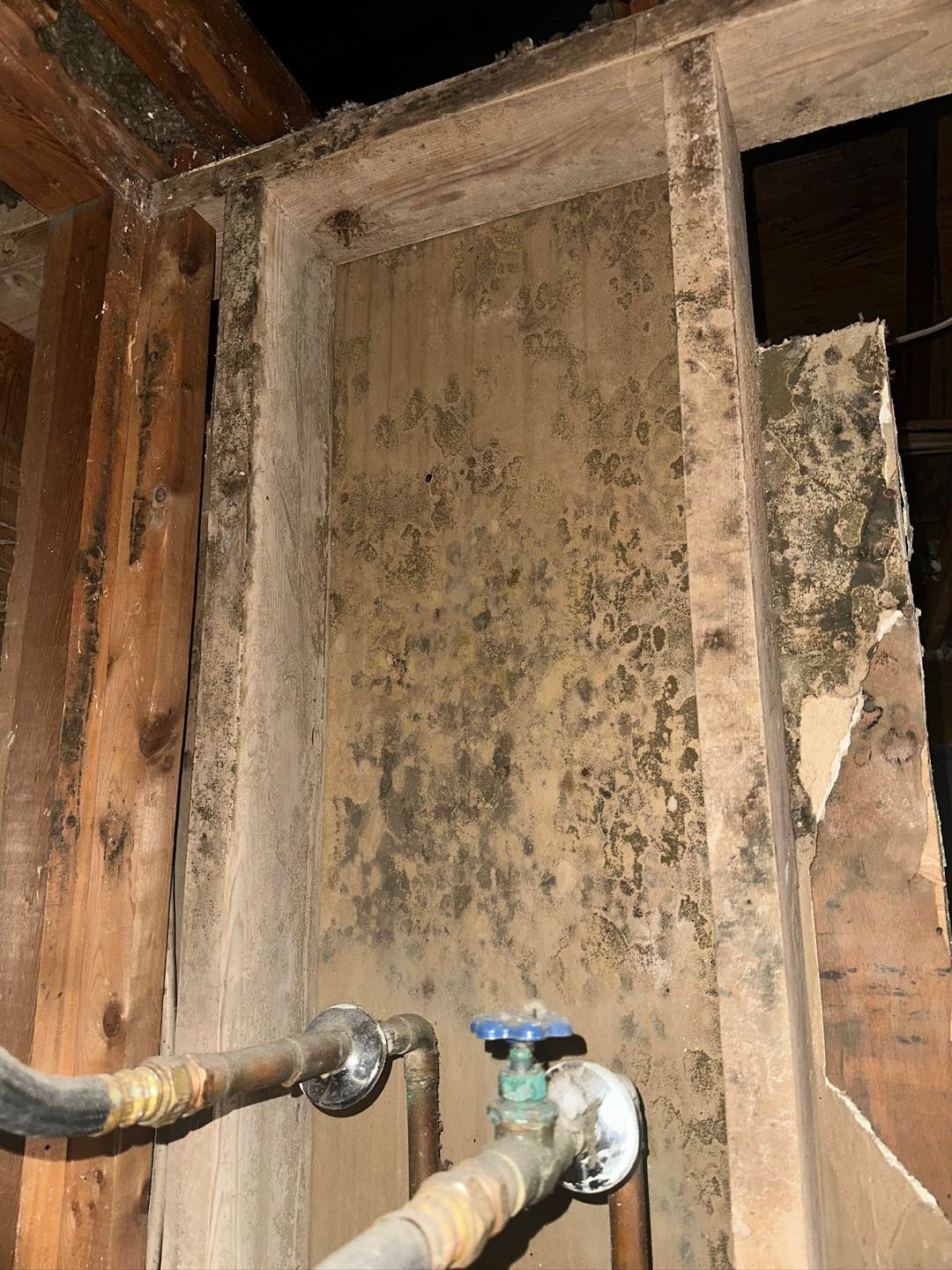 Moldy wooden wall with plumbing pipes, likely water damage.