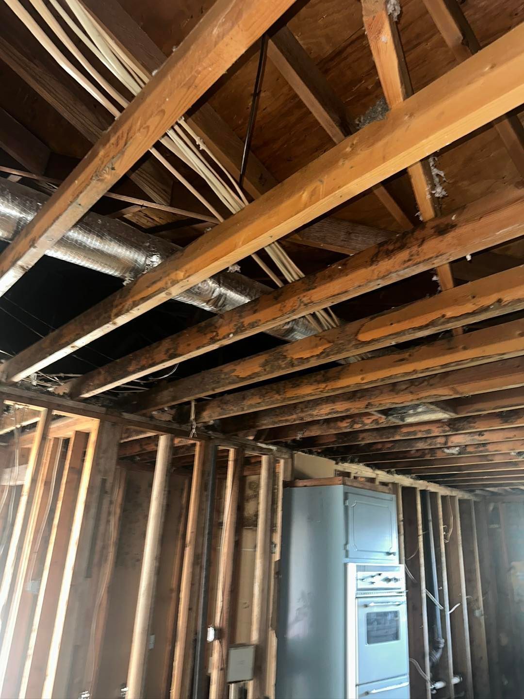 Exposed ceiling beams and wall studs in a room, showing construction or damage.