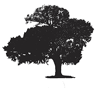 Large Tree Shadow - Tree Services North Richland Hills, TX