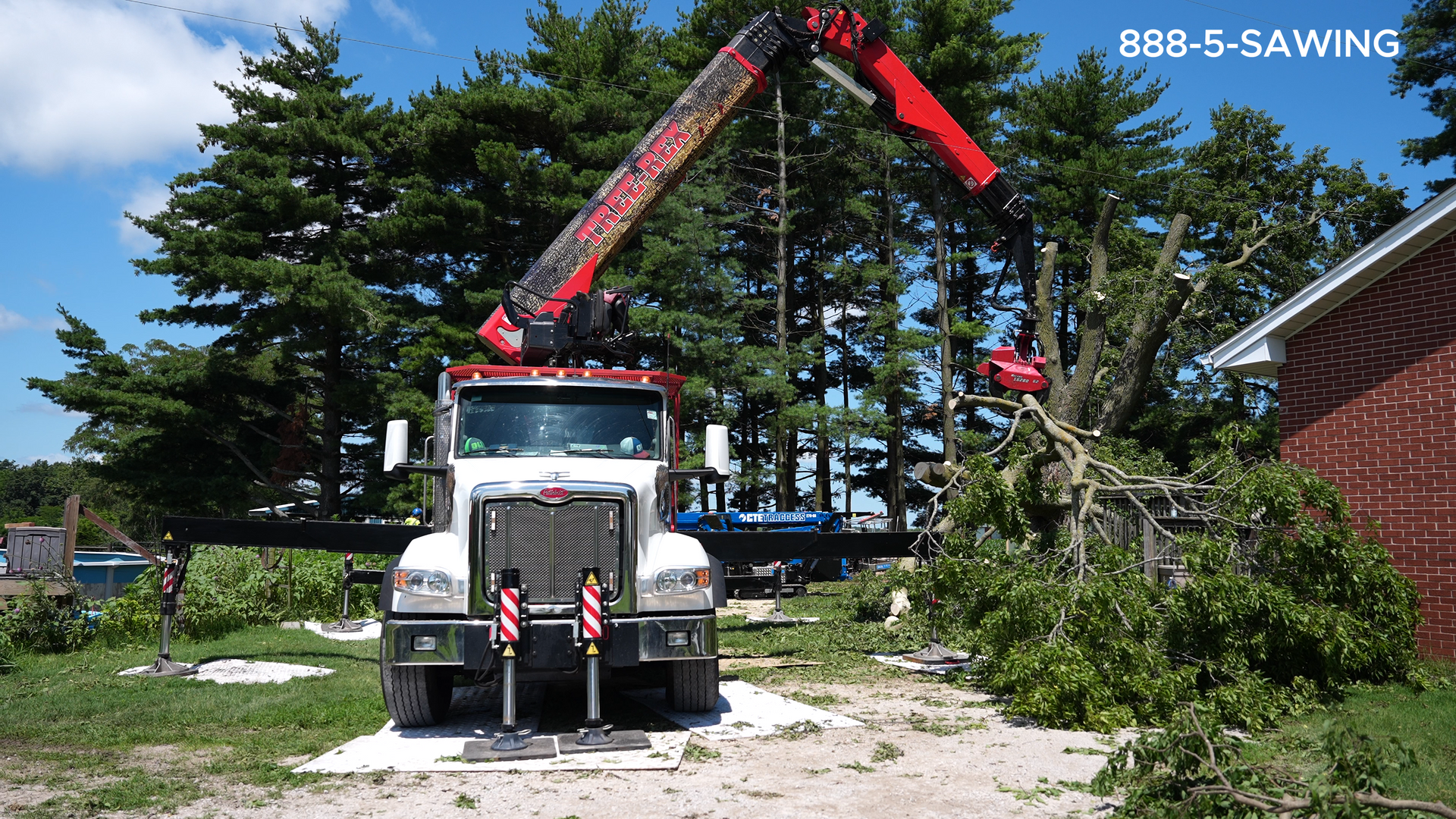 emergency tree work near Alton, IL