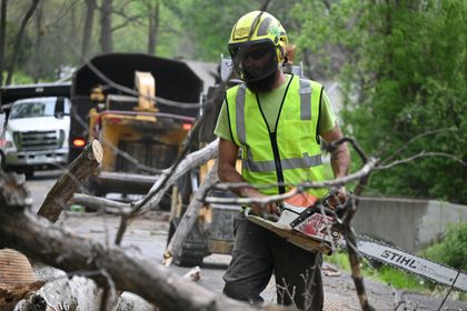 A man is cutting a tree branch with a chainsaw.