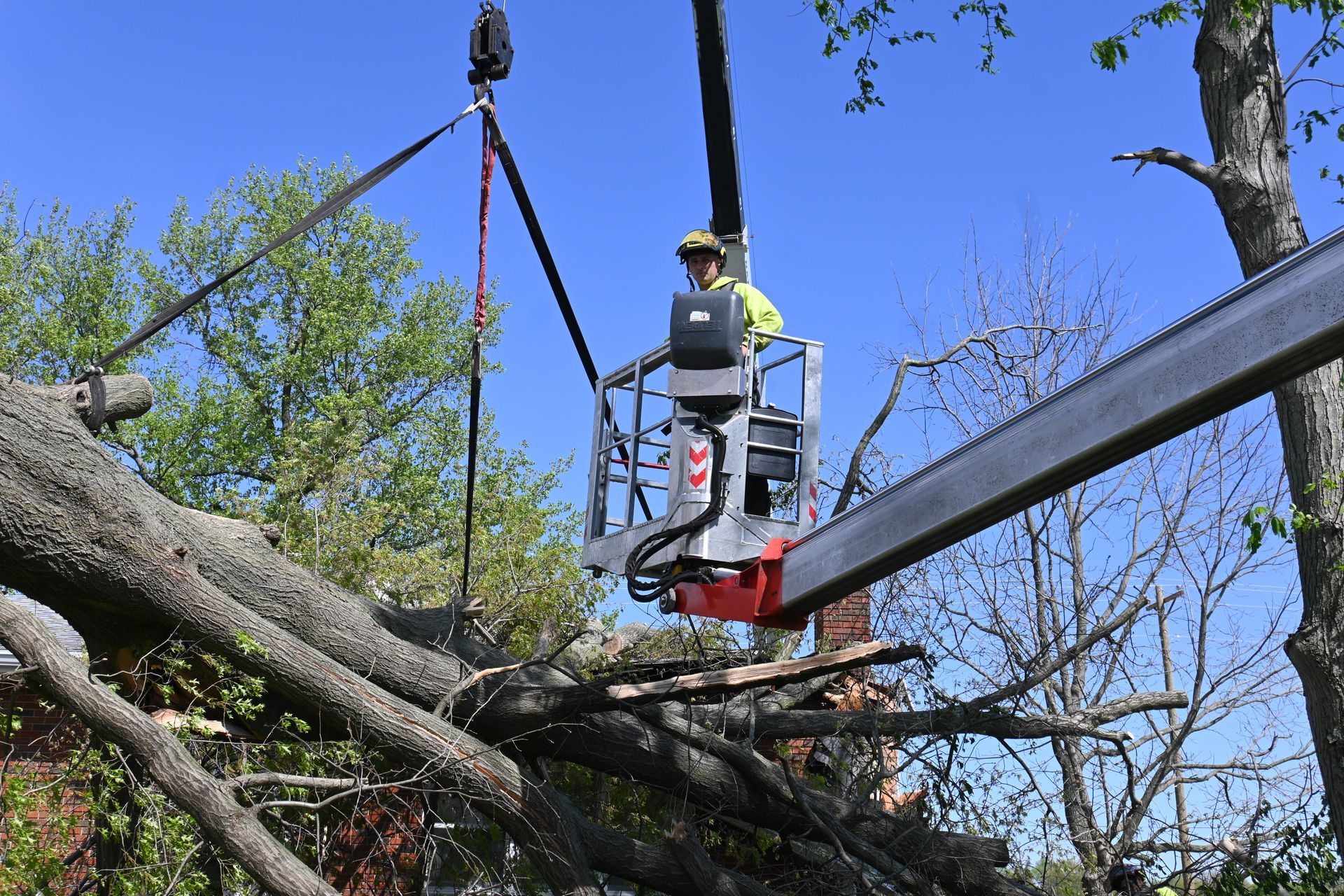 A man in a crane is cutting down a tree.