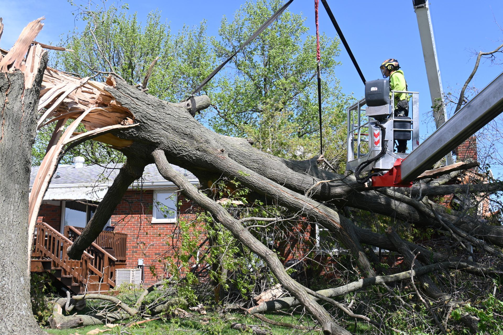 emeregency storm damage tree service near st. louis mo 