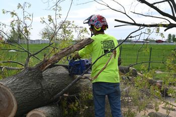 tree service near Godfrey, IL cutting a tree with a chainsaw 