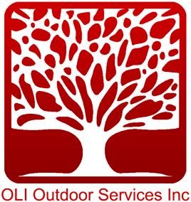 red logo for OLI outdoors expert tree service 