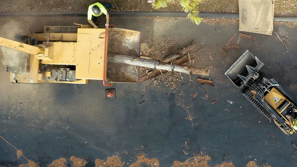 an aerial view of a tree being cut down by a machine .