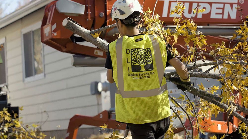 A man in a yellow vest is cutting a tree with a lift.