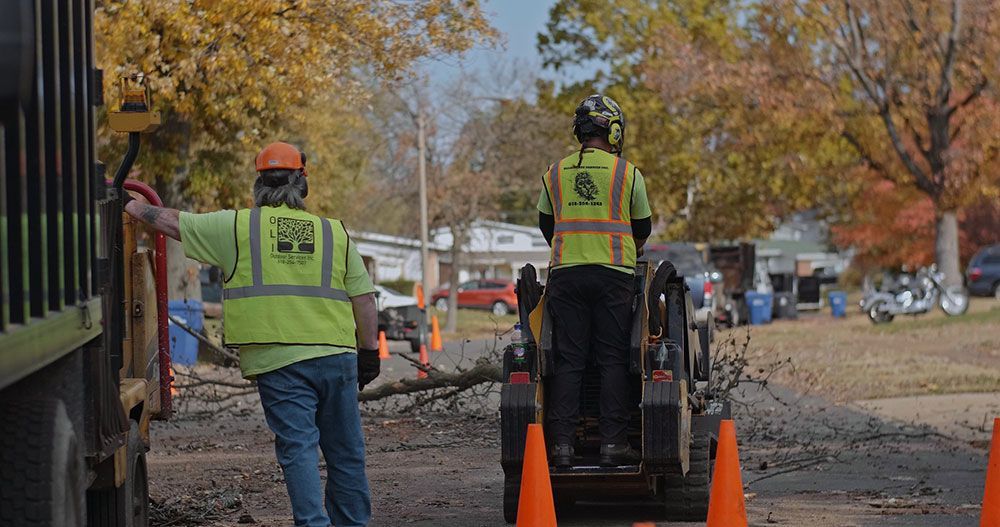 Tree trimming services near godfrey, IL