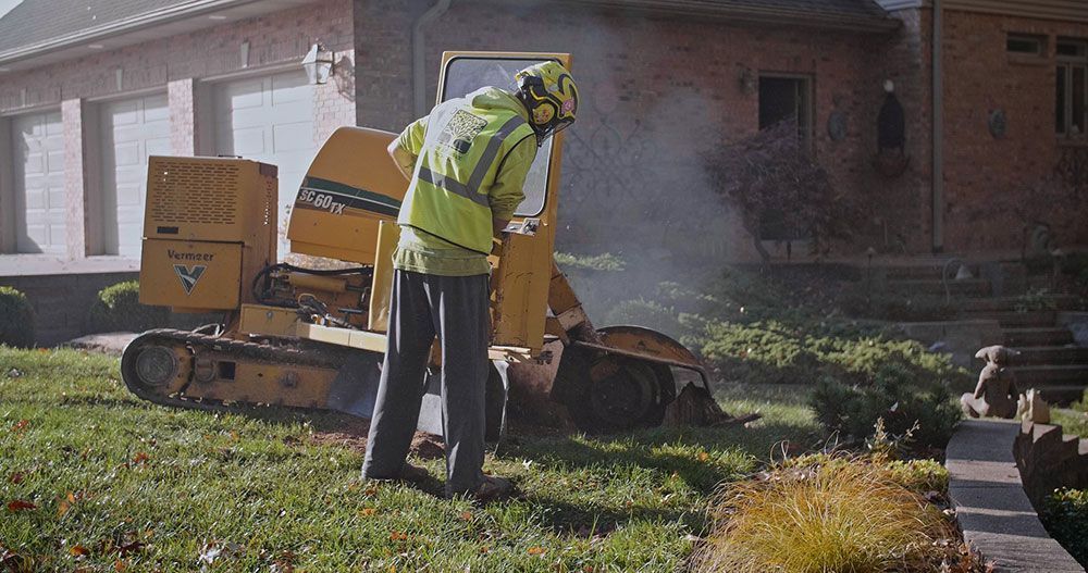 A man is using a machine to remove a tree stump in front of a house.