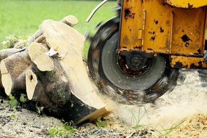 A machine is cutting a tree stump in the ground.