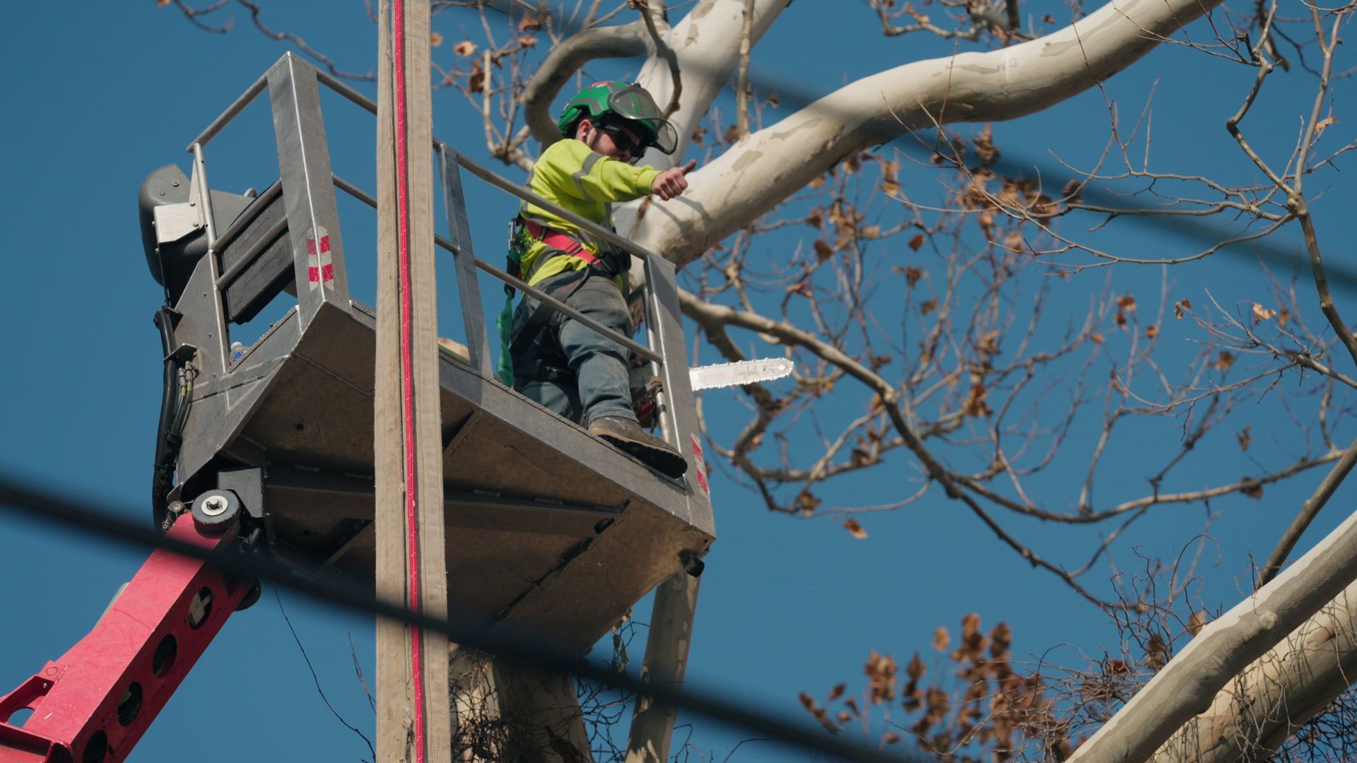 Arborist in lift in godfrey il cutting down tree limbs