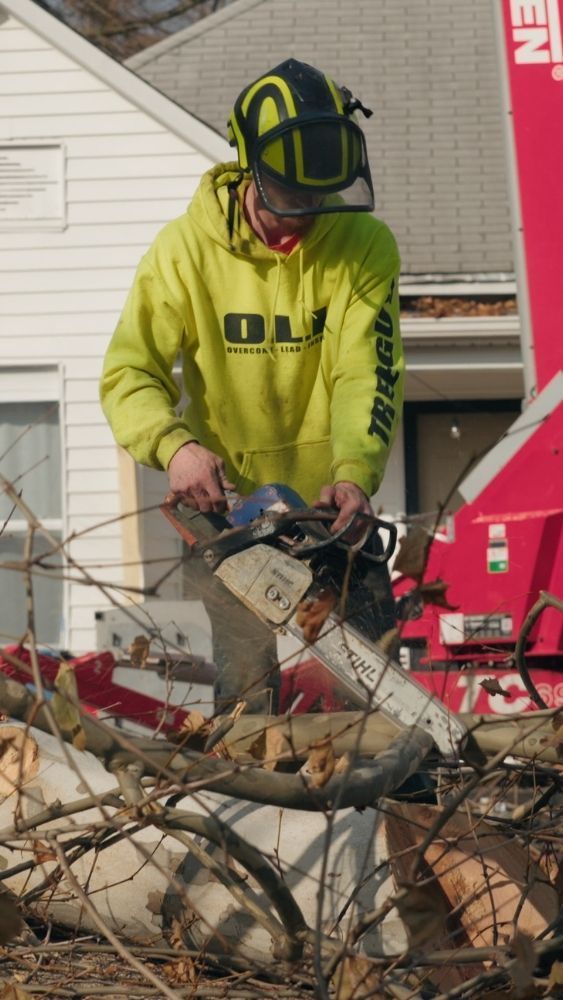 OLI Outdoor Services Arborist cutting a tree
