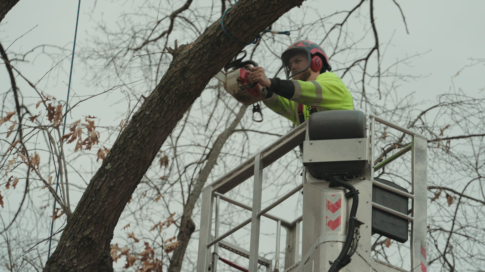 jared an arborist serving godfrey il