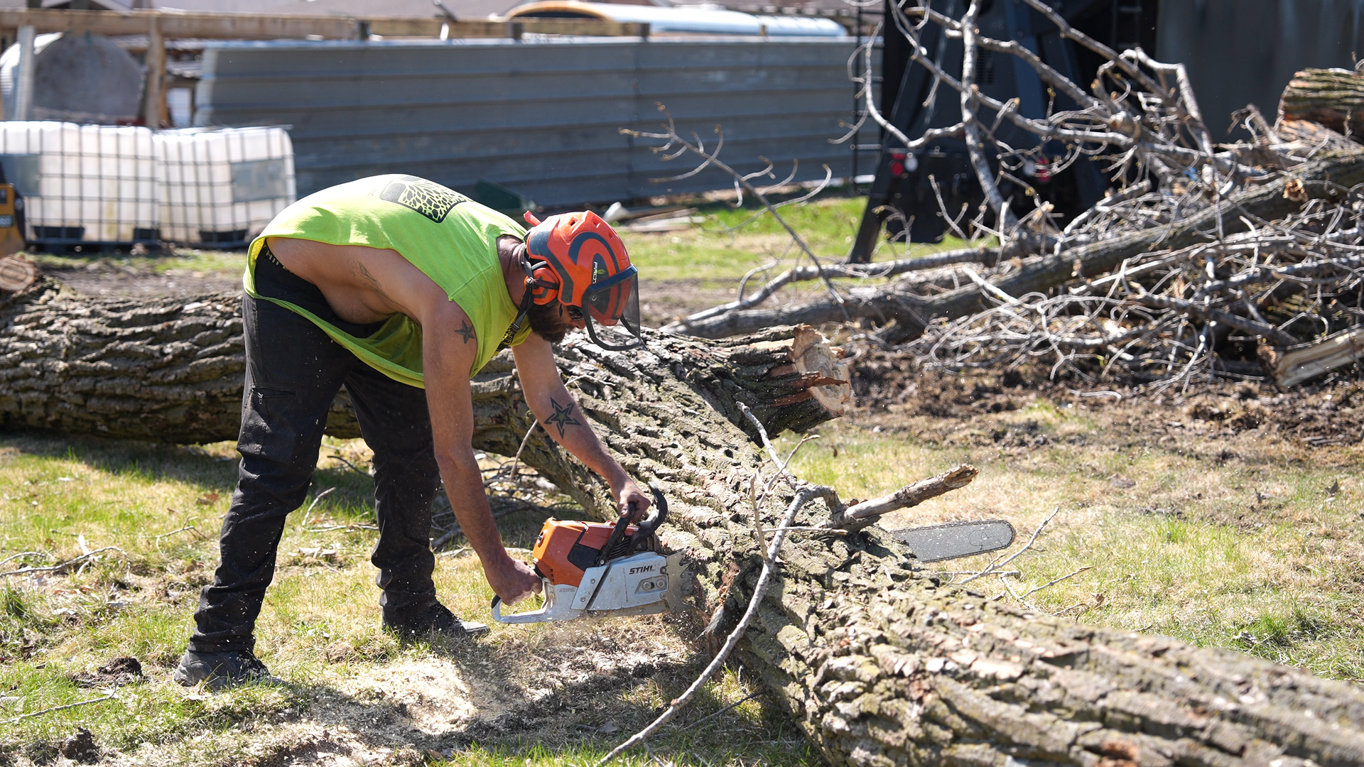 OLI employee removing dead tree near wood river il 