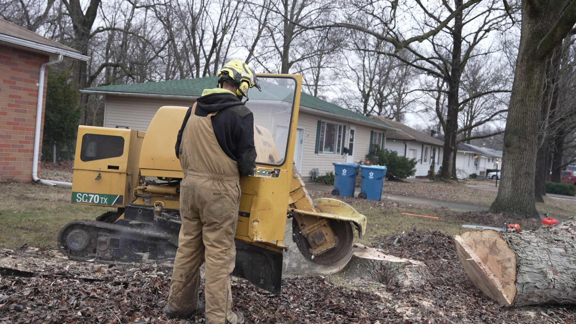 a stump grinder is cutting a tree stump in the ground in alton il