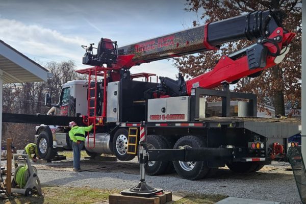 Tree rex tree removal in Edwardsville il