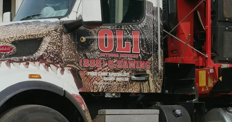 tree service near Godfrey, IL - Tree-Rex Grapple Saw Truck