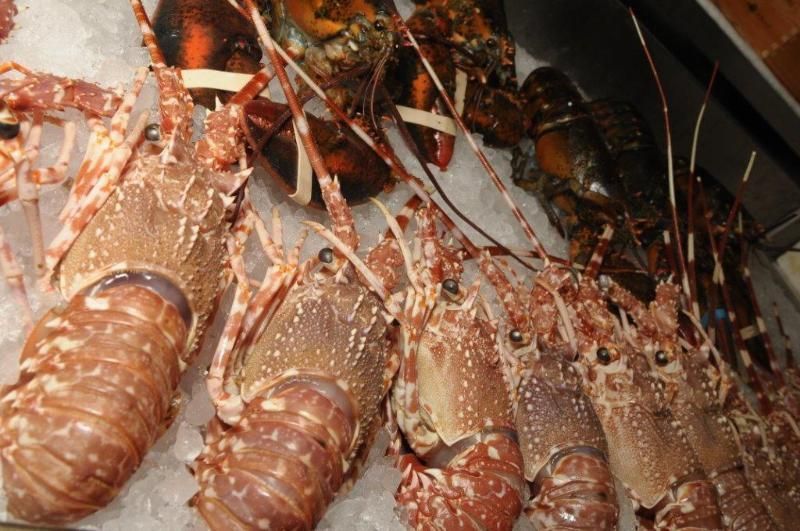 crostacei ristorante da nano