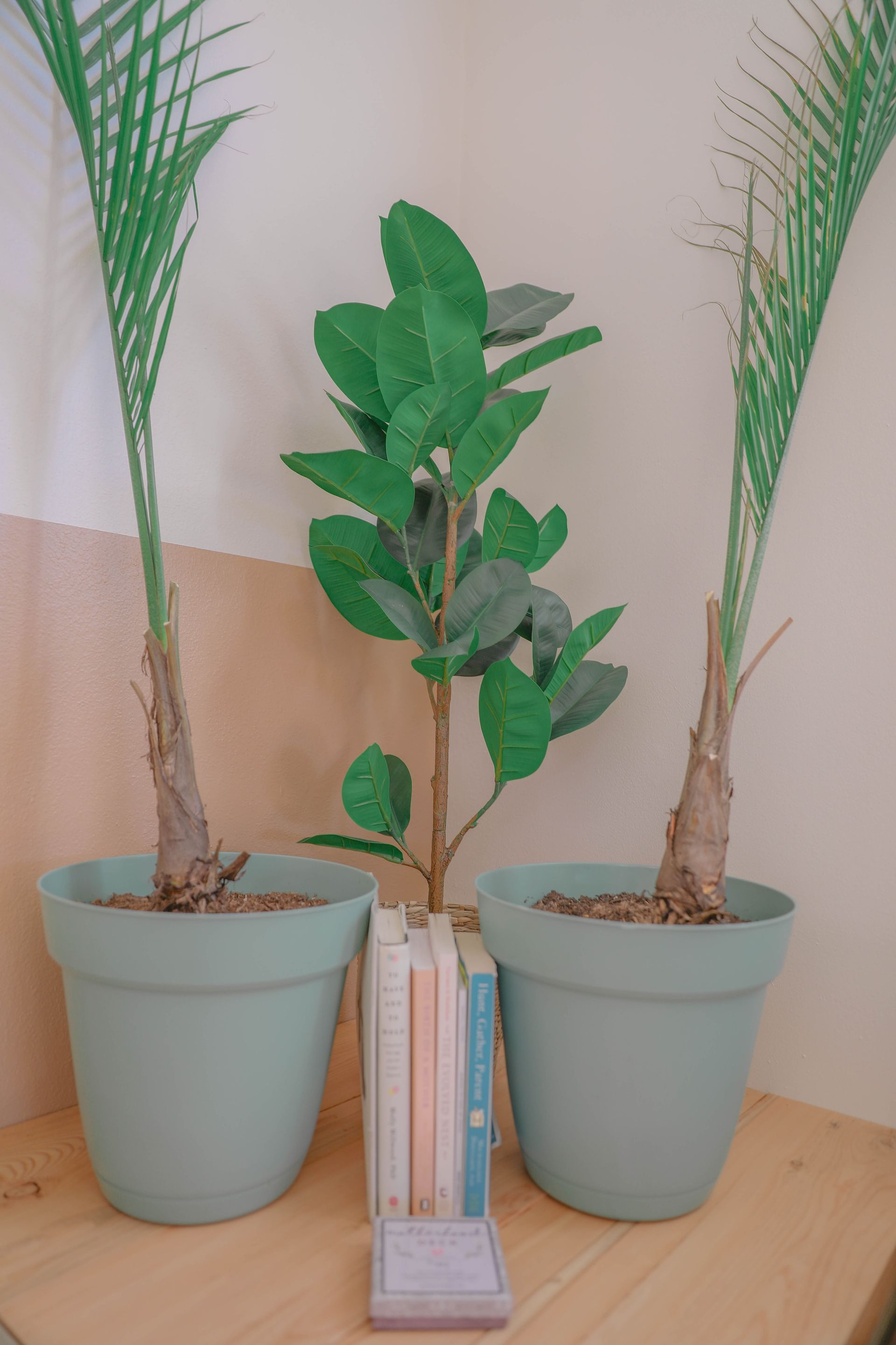 The Grove Mother Centered Wellness in Gunnison, Colorado