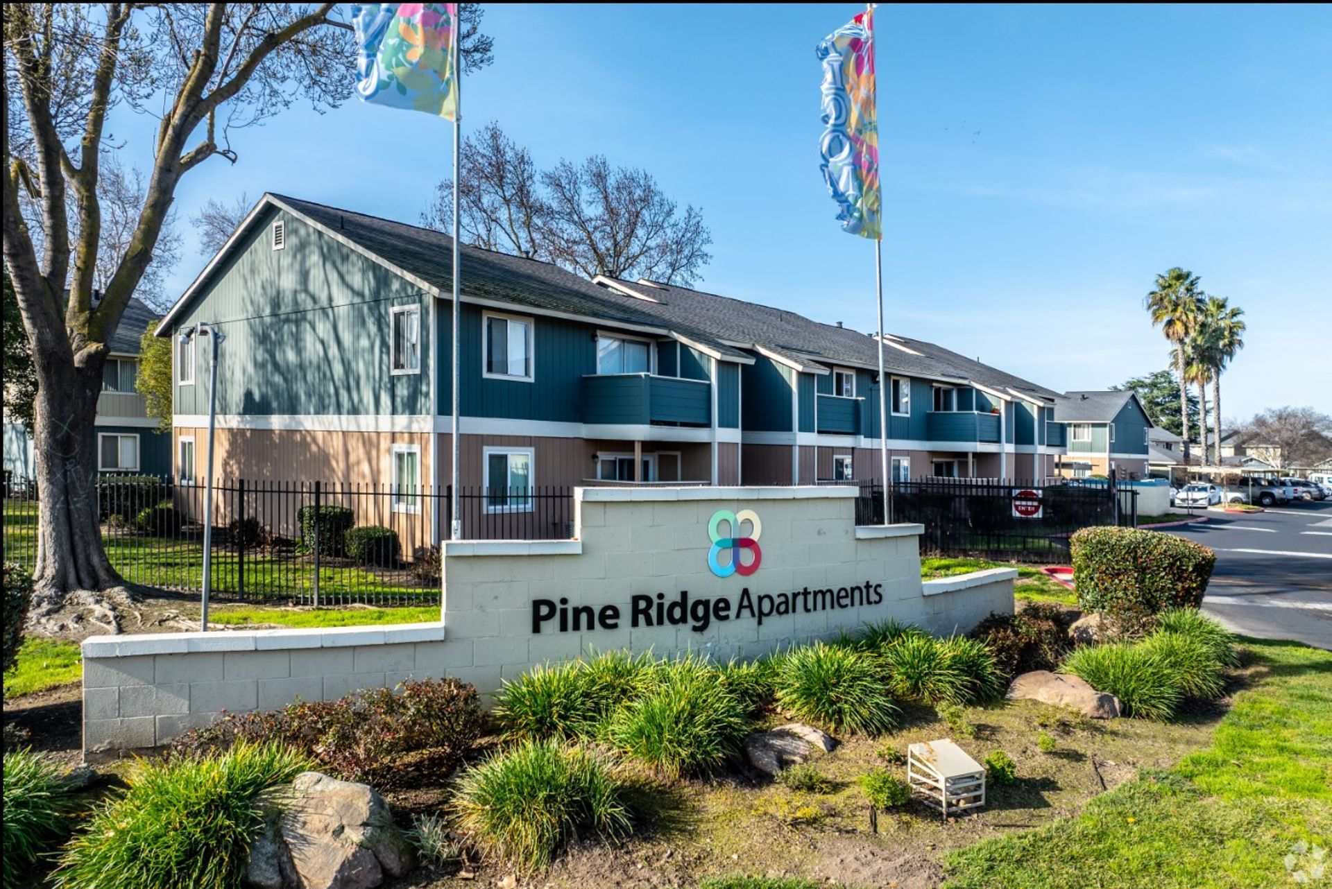 Pine Ridge Apartments sign in front of blue apartment buildings with landscaped lawn and flags