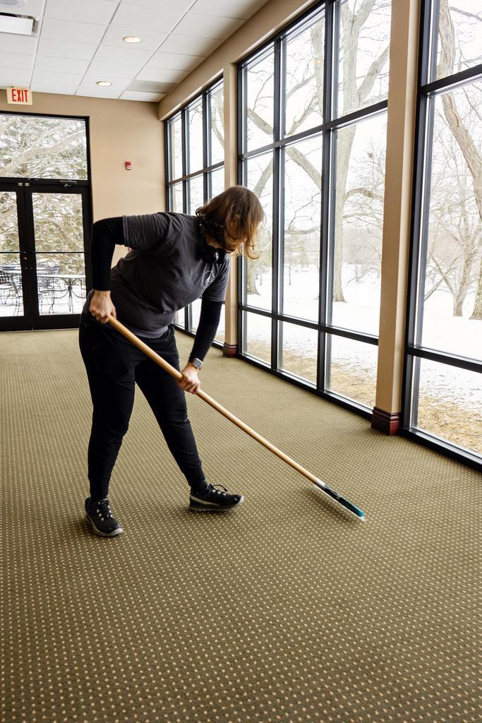 Carpet Cleaning - Brushing