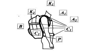 hkca