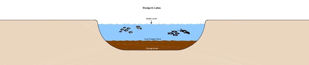Sludge Formation & Management